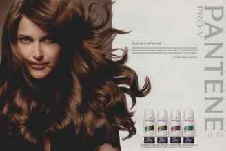 Better Homes & Gardens January 2009 Magazine Article: Page 20