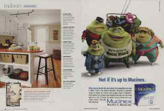 Better Homes & Gardens January 2009 Magazine Article: Page 50