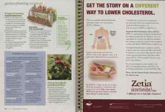 Better Homes & Gardens January 2009 Magazine Article: Page 60