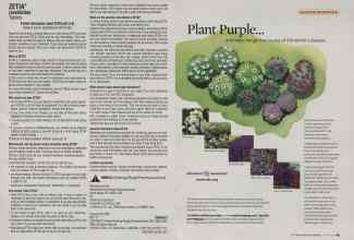 Better Homes & Gardens January 2009 Magazine Article: Page 62