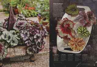 Better Homes & Gardens January 2009 Magazine Article: Living Jewels