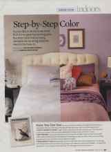 Better Homes & Gardens February 2009 Magazine Article: Step-by-Step Color