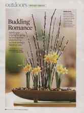 Better Homes & Gardens February 2009 Magazine Article: Budding Romance