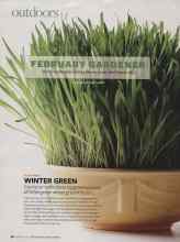 Better Homes & Gardens February 2009 Magazine Article: WINTER GREEN
