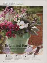 Better Homes & Gardens February 2009 Magazine Article: Bright and Early