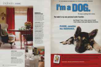 Better Homes & Gardens February 2009 Magazine Article: Page 42