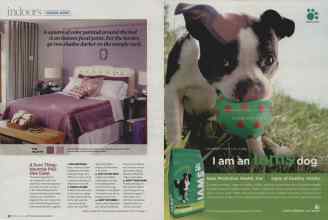 Better Homes & Gardens February 2009 Magazine Article: Page 50