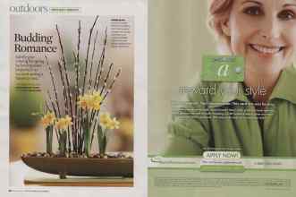 Better Homes & Gardens February 2009 Magazine Article: Page 82