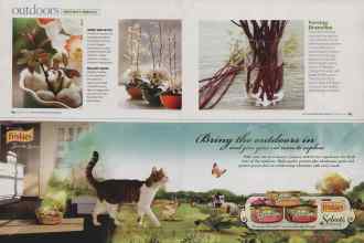 Better Homes & Gardens February 2009 Magazine Article: Page 84