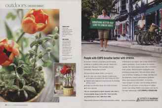 Better Homes & Gardens February 2009 Magazine Article: Page 86