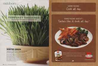 Better Homes & Gardens February 2009 Magazine Article: Page 90