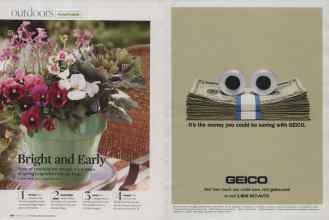 Better Homes & Gardens February 2009 Magazine Article: Page 96