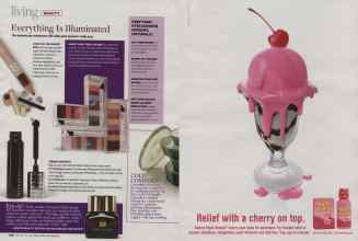 Better Homes & Gardens February 2009 Magazine Article: Page 106