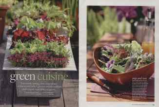 Better Homes & Gardens February 2009 Magazine Article: Green cuisine