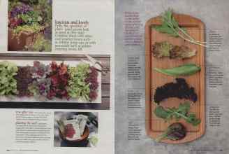 Better Homes & Gardens February 2009 Magazine Article: Page 124