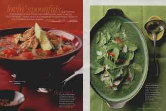 Better Homes & Gardens February 2009 Magazine Article: Page 126