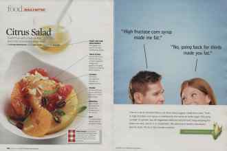 Better Homes & Gardens February 2009 Magazine Article: Page 160