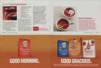 Better Homes & Gardens February 2009 Magazine Article: Page 166