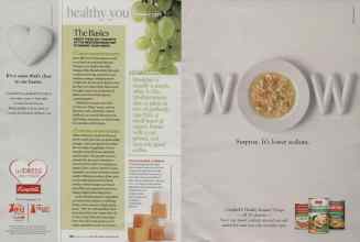 Better Homes & Gardens February 2009 Magazine Article: Page 182