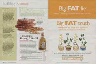 Better Homes & Gardens February 2009 Magazine Article: Page 186