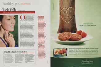 Better Homes & Gardens February 2009 Magazine Article: Page 196