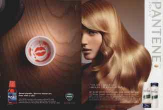 Better Homes & Gardens February 2009 Magazine Article: Page 208