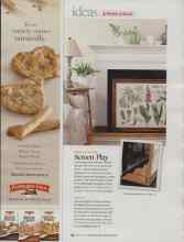 Better Homes & Gardens March 2009 Magazine Article: Screen Play