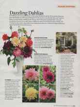 Better Homes & Gardens March 2009 Magazine Article: Dazzling Dahlias
