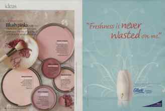 Better Homes & Gardens March 2009 Magazine Article: Page 26