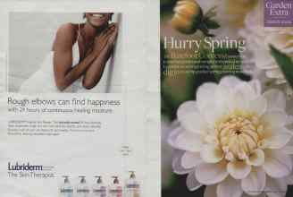 Better Homes & Gardens March 2009 Magazine Article: Page 30