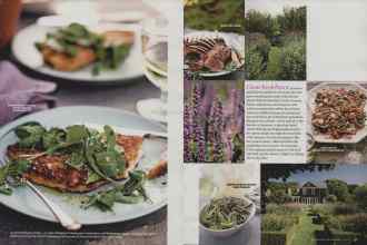 Better Homes & Gardens March 2009 Magazine Article: Page 36