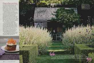 Better Homes & Gardens March 2009 Magazine Article: Page 38