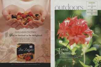 Better Homes & Gardens March 2009 Magazine Article: Page 42