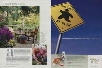 Better Homes & Gardens March 2009 Magazine Article: Page 44