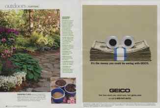 Better Homes & Gardens March 2009 Magazine Article: Page 46