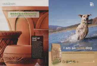 Better Homes & Gardens March 2009 Magazine Article: Page 52