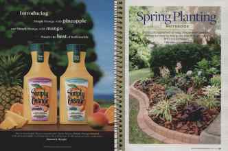 Better Homes & Gardens March 2009 Magazine Article: Page 58