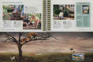 Better Homes & Gardens March 2009 Magazine Article: Page 62