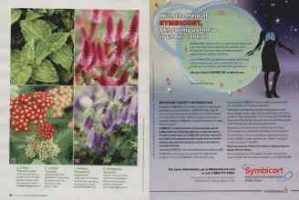 Better Homes & Gardens March 2009 Magazine Article: Page 66