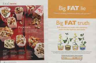 Better Homes & Gardens March 2009 Magazine Article: Page 166