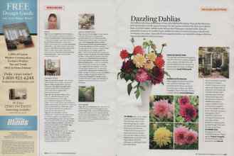 Better Homes & Gardens March 2009 Magazine Article: Page 212