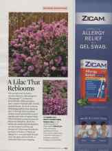 Better Homes & Gardens April 2009 Magazine Article: A Lilac That Reblooms