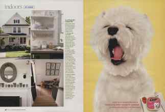 Better Homes & Gardens April 2009 Magazine Article: Page 38
