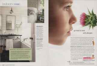 Better Homes & Gardens April 2009 Magazine Article: Page 40