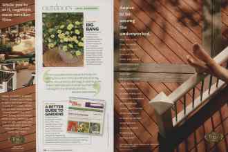 Better Homes & Gardens April 2009 Magazine Article: Page 116