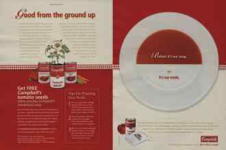 Better Homes & Gardens April 2009 Magazine Article: Page 170