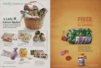 Better Homes & Gardens April 2009 Magazine Article: Page 230