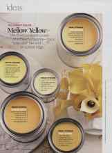 Better Homes & Gardens May 2009 Magazine Article: Mellow Yellow