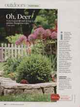 Better Homes & Gardens May 2009 Magazine Article: Oh, Deer