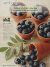 Better Homes & Gardens May 2009 Magazine Article: IT'S THE BERRIES